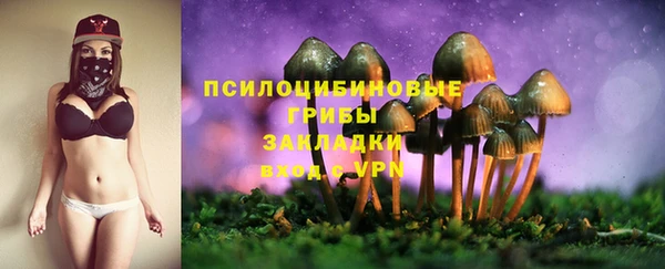 бошки Мегион