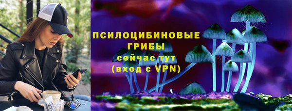 мдпв Михайловск