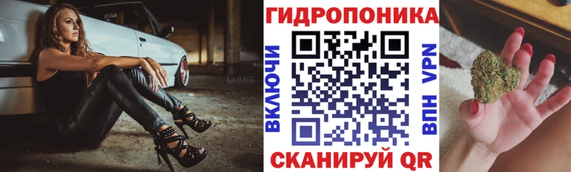 мега   Приозерск  Бошки марихуана план 